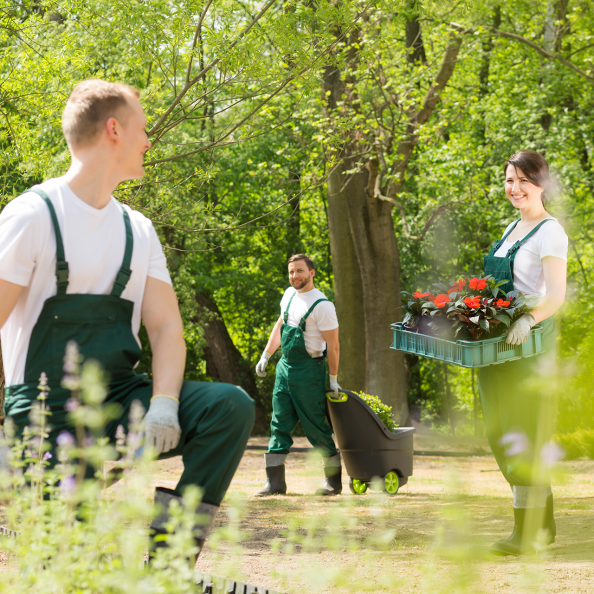 gardeners-planting-flowers-in-park-2026-01-05-22-55-13-utc