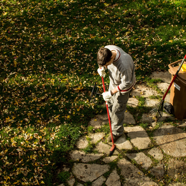 man-raking-leaves-on-sunny-autumn-day-in-back-yard-2026-01-06-08-59-59-utc