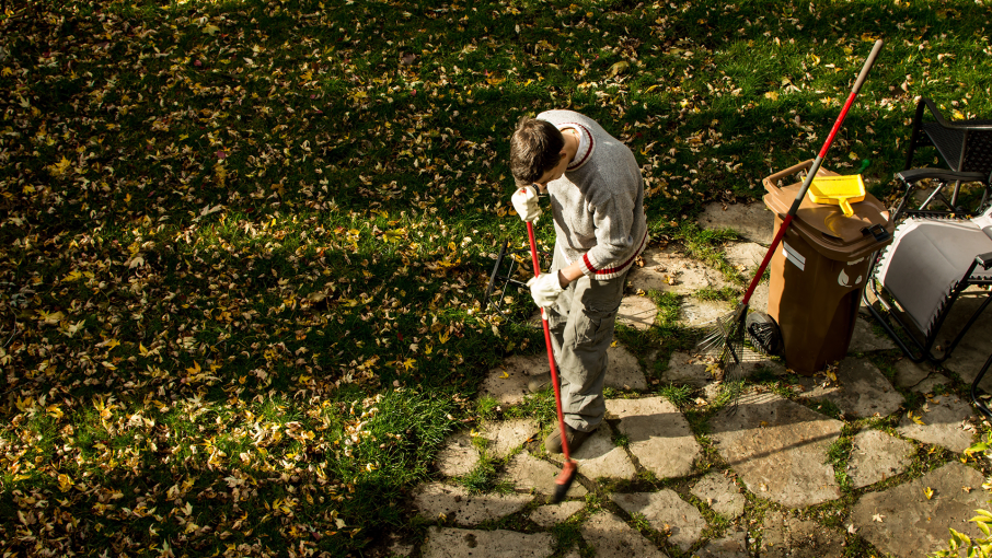 man-raking-leaves-on-sunny-autumn-day-in-back-yard-2026-01-06-08-59-59-utc