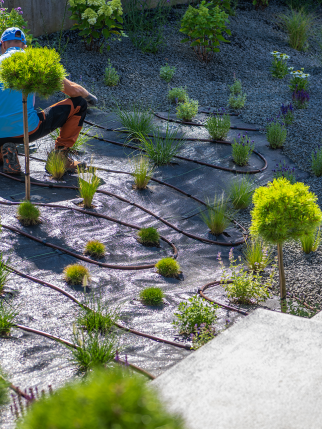 gardener-tending-to-a-landscaped-garden-with-fresh-2026-01-09-01-10-16-utc