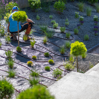 gardener-tending-to-a-landscaped-garden-with-fresh-2026-01-09-01-10-16-utc