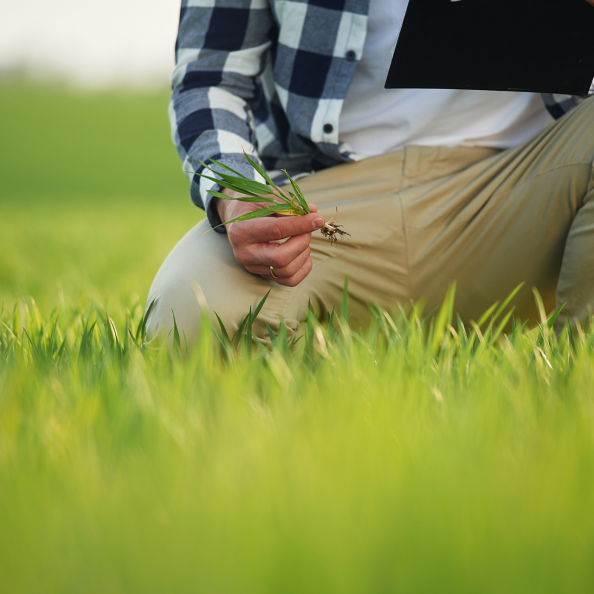 male-worker-in-checkered-shirt-is-on-agricultural-2026-01-08-23-29-07-utc